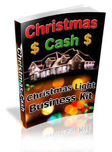 Earn money hanging Christmas Lights